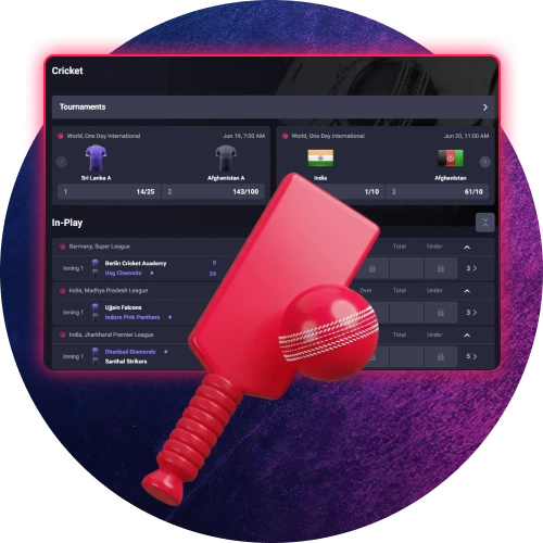 Enjoy cricket betting options available for Gambiva users.